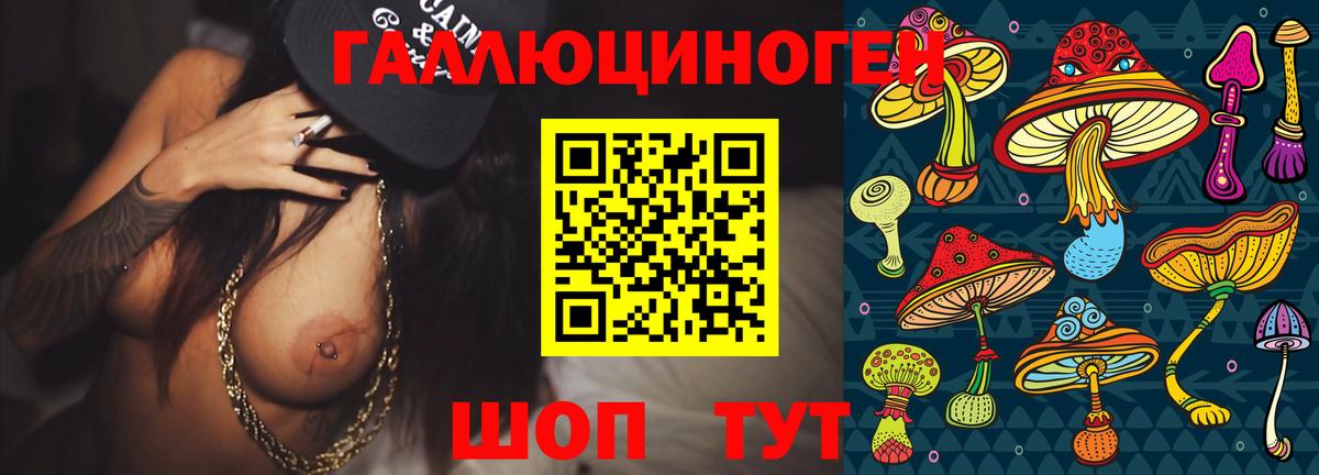 Хабаровск  Псилоцибиновые грибы Psilocybine cubensis  Вход с VPN 